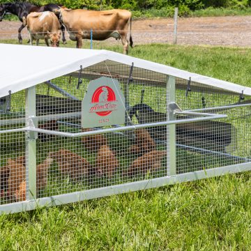 12 x 24 Alumi-Coop [Handle Up]