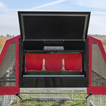 6 x 8 Redline Coop [Egg Box, Back, Laying]