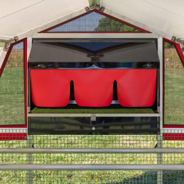6 x 8 Redline Coop [Egg Box, Front, Laying]