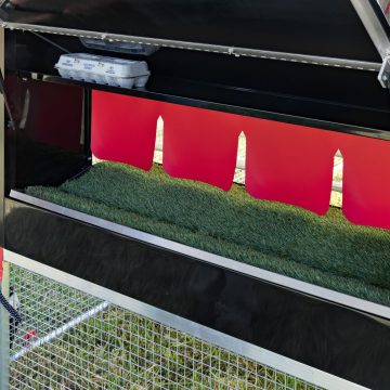 8 x 12 Redline Coop [Egg Box, Detail, Laying]